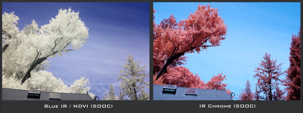 Blue-IR NDVI & IR Chrome